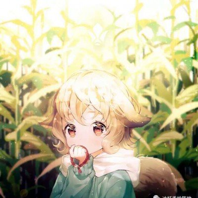 锋兰达